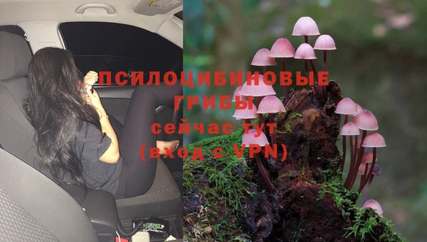 МДПВ Белоозёрский