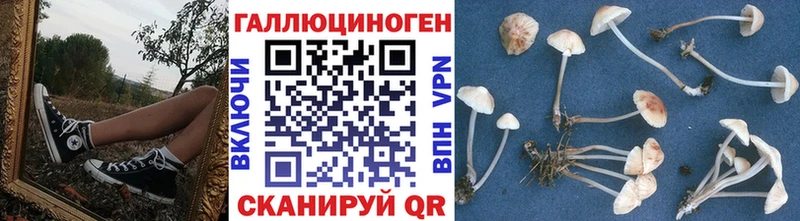 МЕГА маркетплейс Долинск Галлюциногенные грибы GOLDEN TEACHER наркошоп